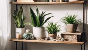 beginner friendly houseplants guide